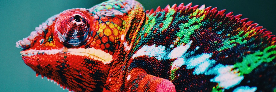 color-custom-color color-custom-color