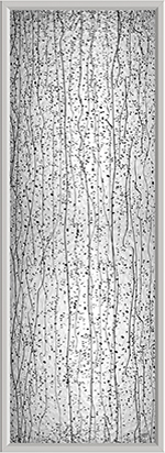 mistify-glass-image mistify-glass-image