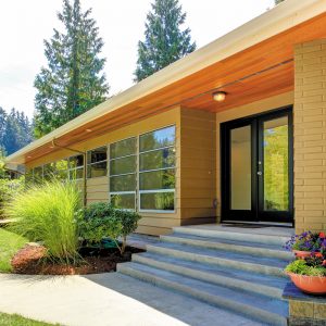 A Modern Summer Dream