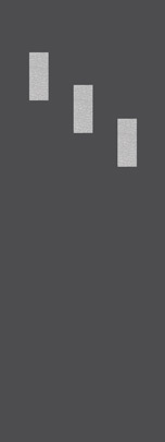 spotcha_3vd-11x5_l_36x96