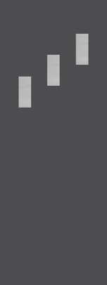 spotcha_3vd-11x5_r_36x96